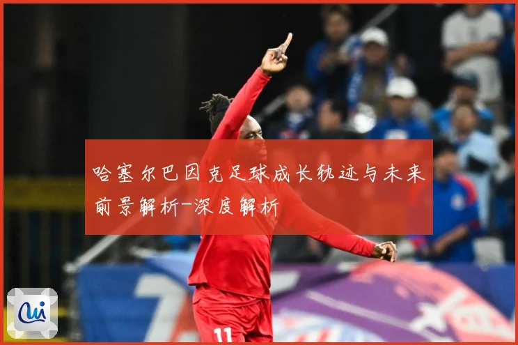 哈塞尔巴因克足球成长轨迹与未来前景解析-深度解析