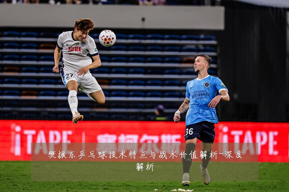 樊振东乒乓球技术特点与战术价值解析-深度解析